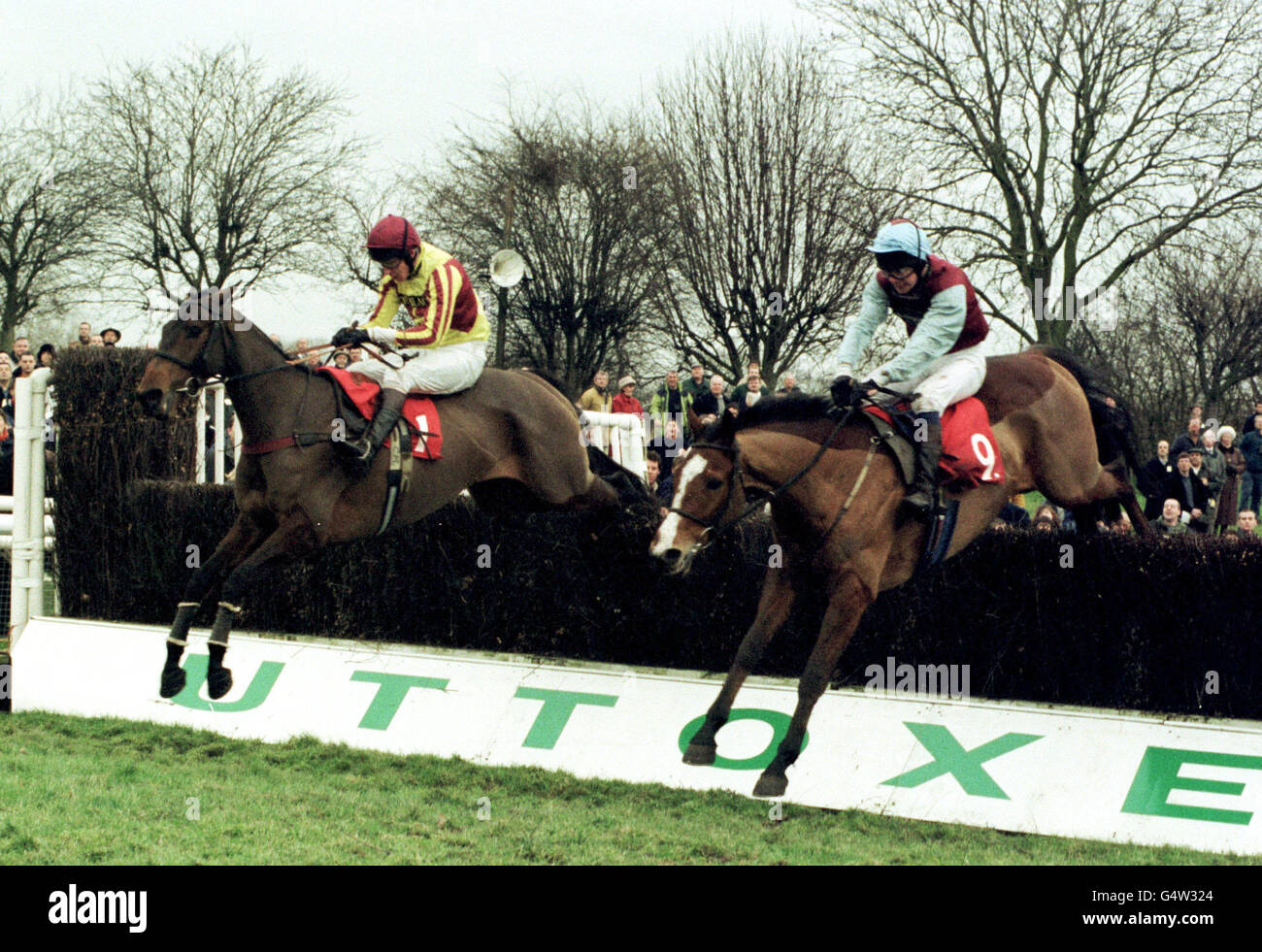 Sad Mad Bad (N°9) avec Alan Dempsey sur le point de toucher vers le bas devant dans le sang, pour gagner le ukbetting.com. Steeple Chase à Uttoxeter, entrant dans les livres de records comme premier gagnant du millénaire. Banque D'Images