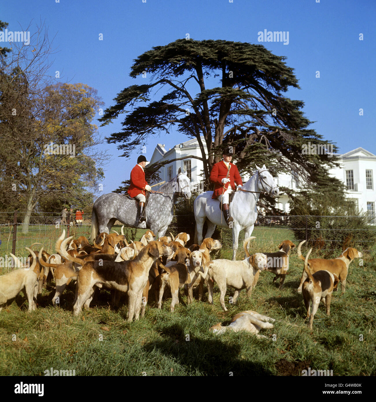 La chasse - Enfield Chase Foxhounds - Hertfordshire Banque D'Images La chasse - Enfield Chase Foxhounds - Hertfordshire Banque D'Images