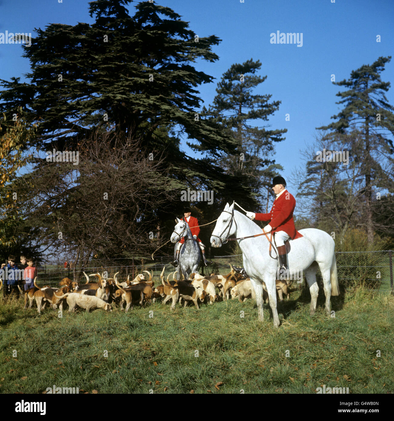La chasse - Enfield Chase Foxhounds - Hertfordshire Banque D'Images La chasse - Enfield Chase Foxhounds - Hertfordshire Banque D'Images