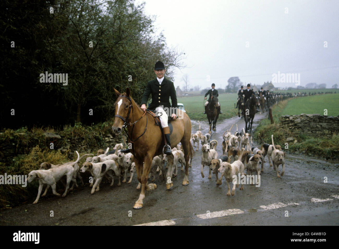 La chasse - Chasse au duc de Beaufort - Gloucestershire Banque D'Images La chasse - Chasse au duc de Beaufort - Gloucestershire Banque D'Images