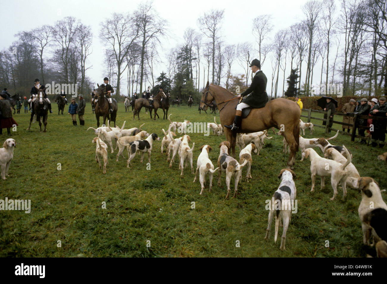 La chasse - Chasse au duc de Beaufort - Gloucestershire Banque D'Images La chasse - Chasse au duc de Beaufort - Gloucestershire Banque D'Images