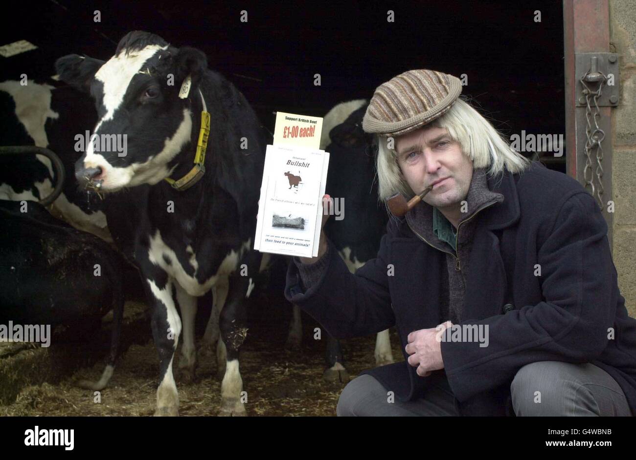 Le fermier Jim Sharp avec sa carte 'dung de vache', qui a déguisé son identité avec une fausse perruque et une casquette plate. Les producteurs laitiers s'attendent à envoyer des centaines de cartes de Noël contenant des excréments de vache au ministre français de l'agriculture. * il prévoit de vendre les cartes aux agriculteurs et aux consommateurs qui recherchent l'interdiction continue de la France sur le boeuf britannique. Banque D'Images