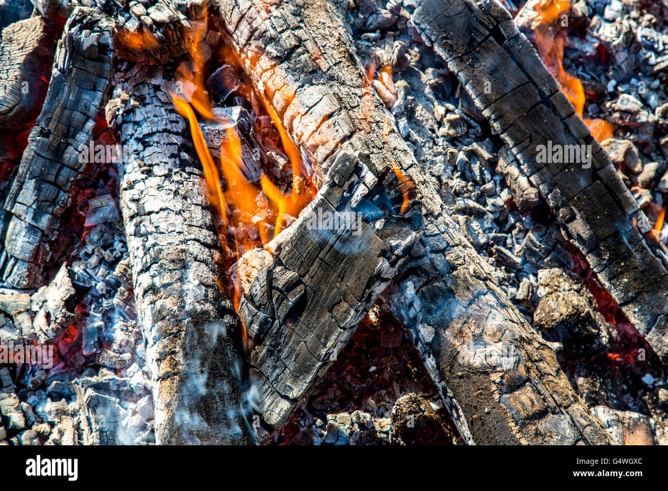 La combustion du bois, feu de camp, feu de bois, les flammes, les braises, Banque D'Images