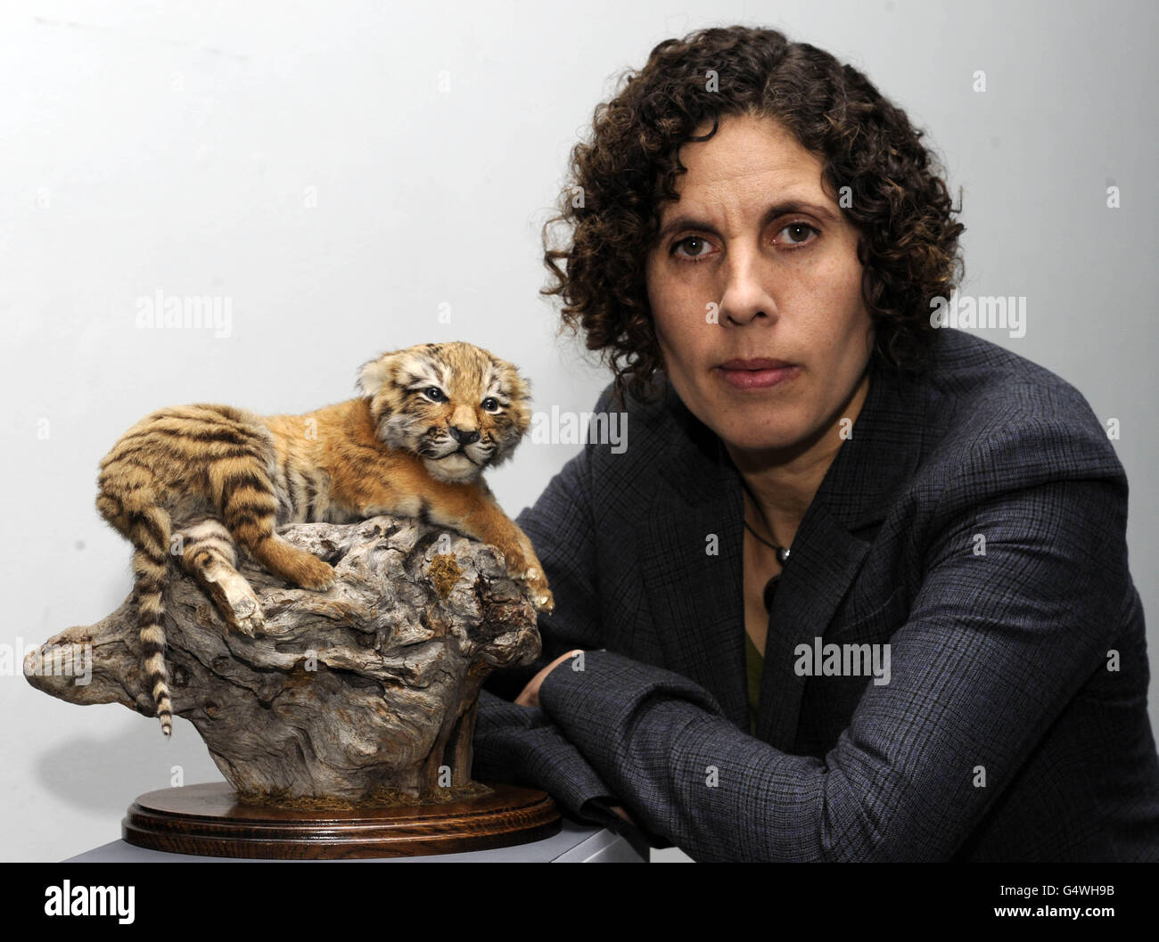 Suzi Morris, directeur de la World Society for the protection of Animals (WSPA) au Royaume-Uni, à côté d'un cub tigre en peluche de dix jours saisi par l'unité de lutte contre la criminalité faunique du Metropolitan police Service, qui s'associe à une association caritative animale, la World Society for the protection of Animals (WSPA). Banque D'Images
