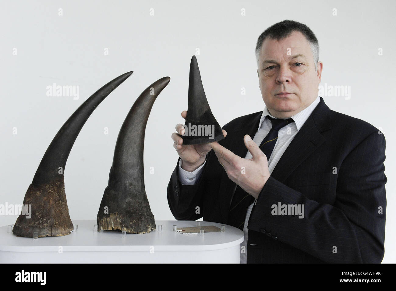 Le sergent de police métropolitaine Ian KNOX, chef de l'unité de lutte contre la criminalité faunique (WCU) de la police métropolitaine et les cornes de rhinocéros saisis à Kensington, Londres, l'unité de police spécialisée s'associe à une association caritative animale, la World Society for the protection of Animals (WSPA). Banque D'Images