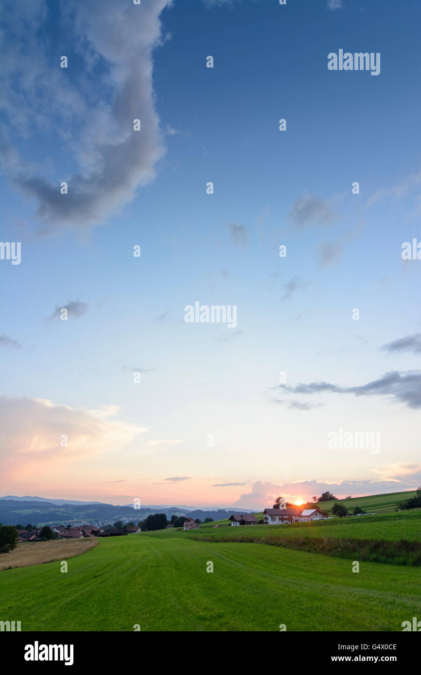 Donnant sur Gehmannsberg et la forêt de Bavière au coucher du soleil, Pacé, Allemagne, Bavière, Bayern, Niederbayern, Basse-Bavière Banque D'Images