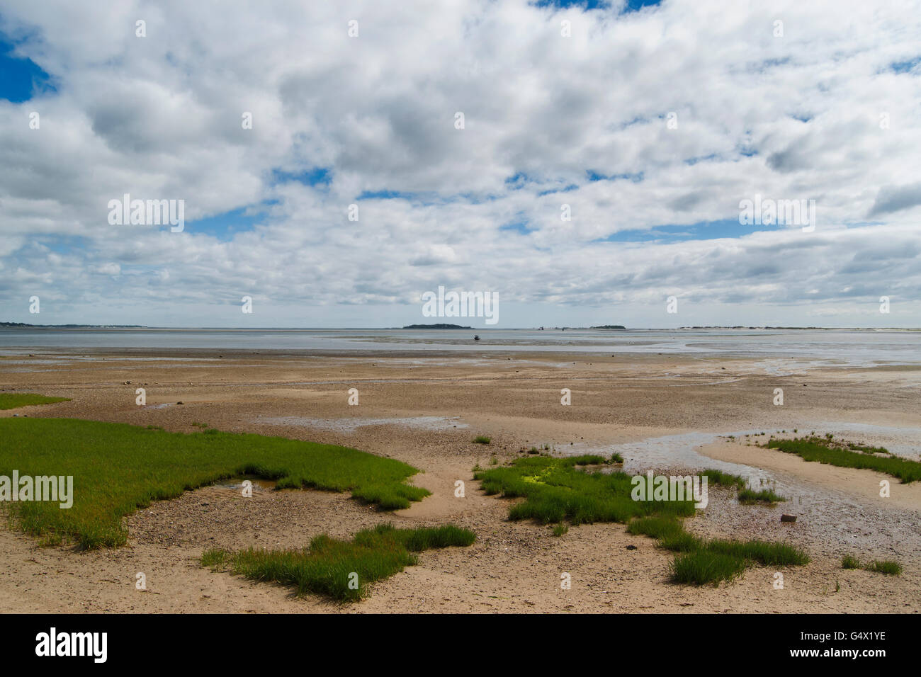Plymouth, Massachusetts plage avec les herbes et nuages Banque D'Images