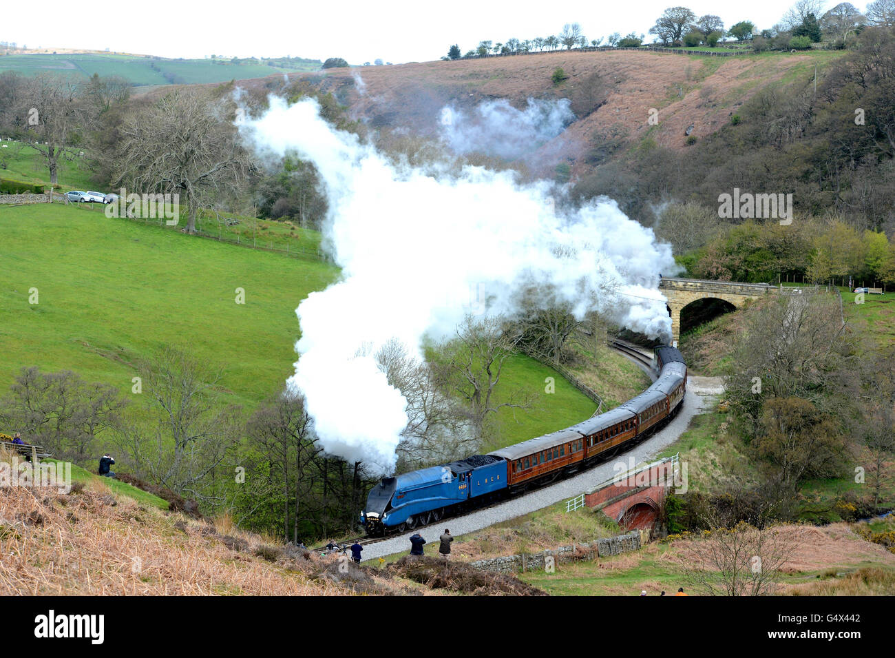 La locomotive Bittern 4464 près de la gare de Goathland, dans le North Yorkshire, tandis qu'elle tire des voitures en teck SUR le service de 'Flying Scotsman' pendant le Spring Steam Gala le long du North Yorkshire Moors Railway, la ligne accueillera dix moteurs à vapeur différents au cours de deux longs week-ends de ce mois-ci. Banque D'Images