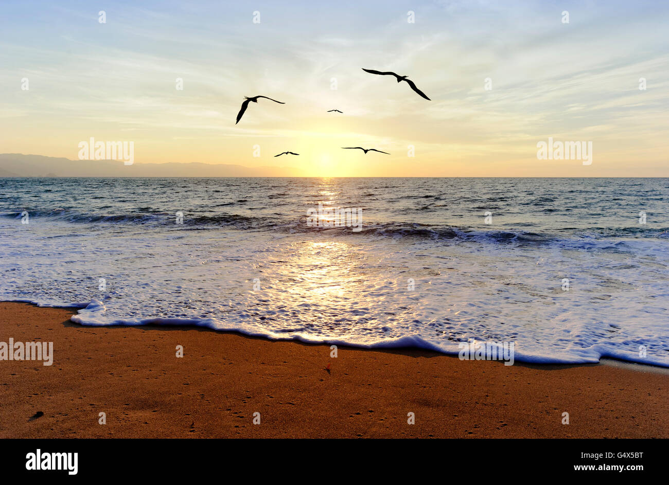 Coucher du soleil de l'océan est de cinq oiseaux oiseaux volant qui se profile vers la lumière du soleil couchant. Banque D'Images