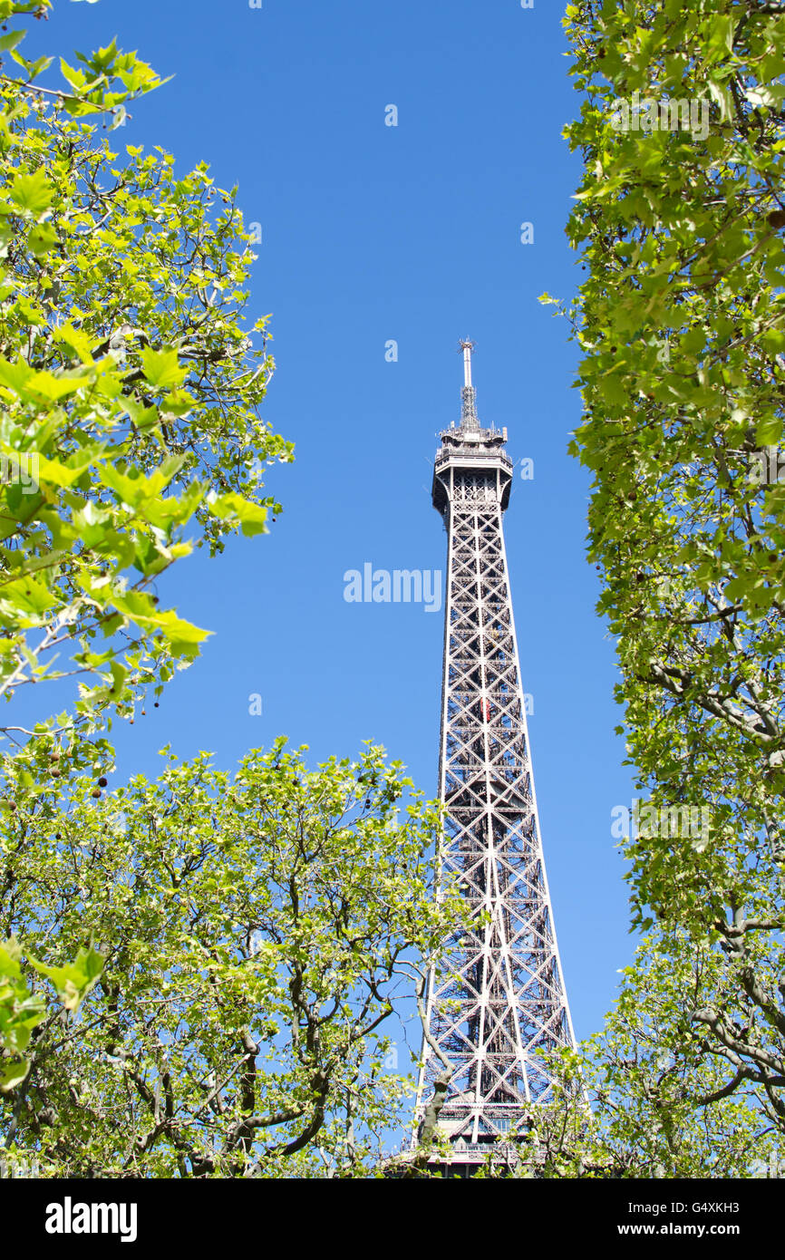 La Tour Eiffel en été Banque D'Images