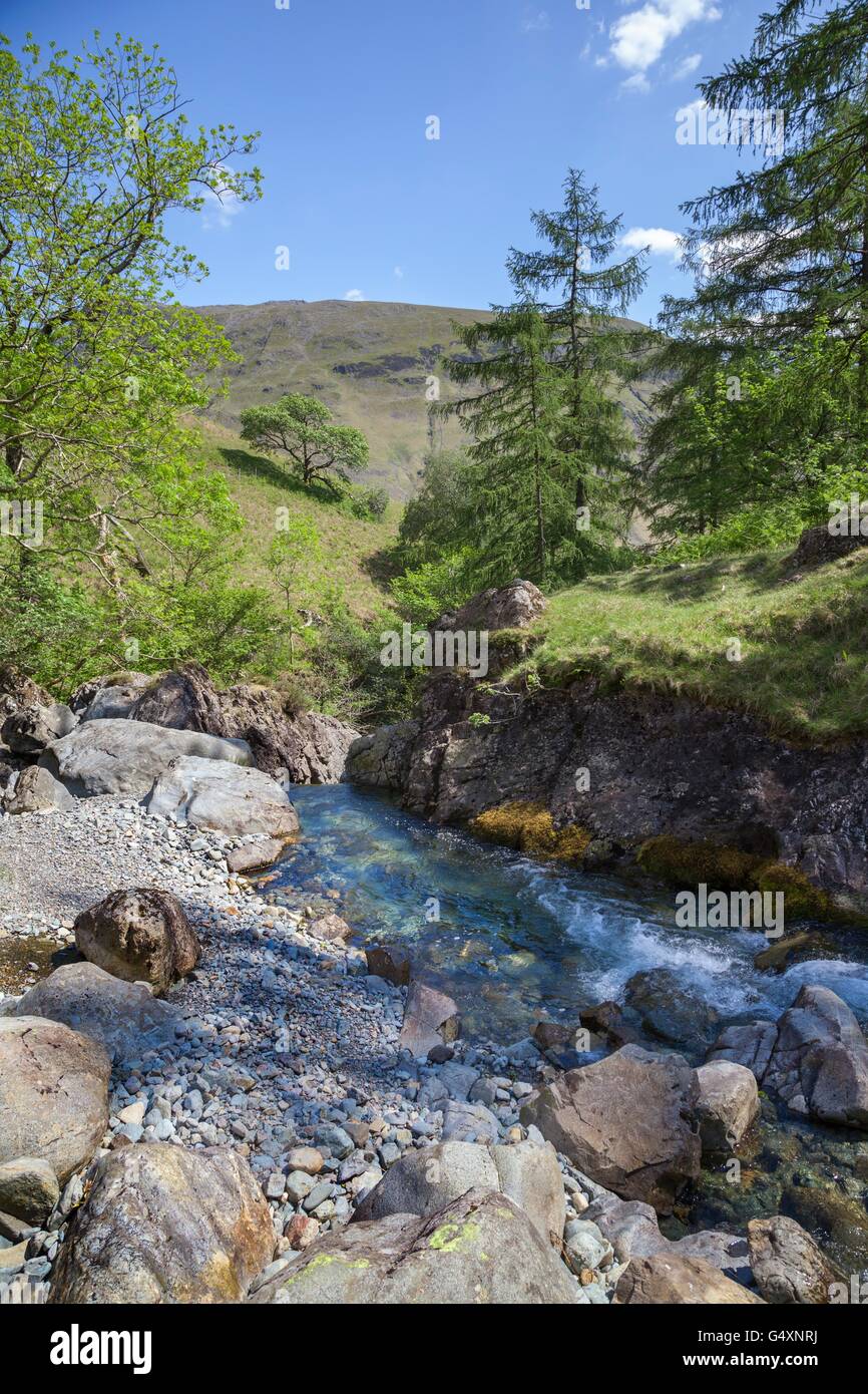 Pierre Petit, Wasdale Head, le Lake District, Cumbria, Angleterre Banque D'Images