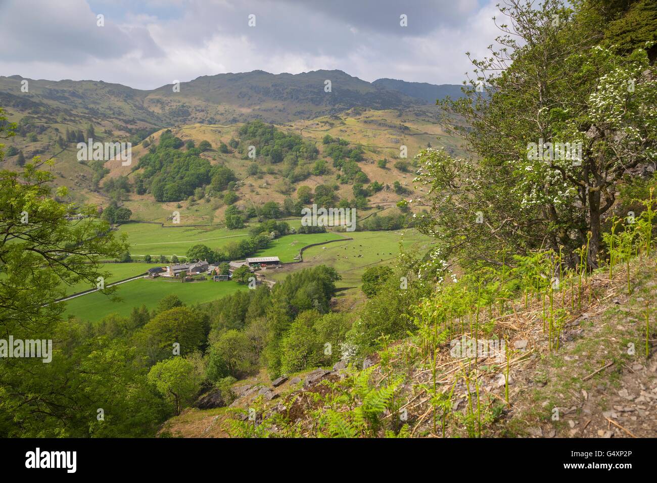 Avis de Helm Crag, Lake District, Cumbria, Angleterre Banque D'Images