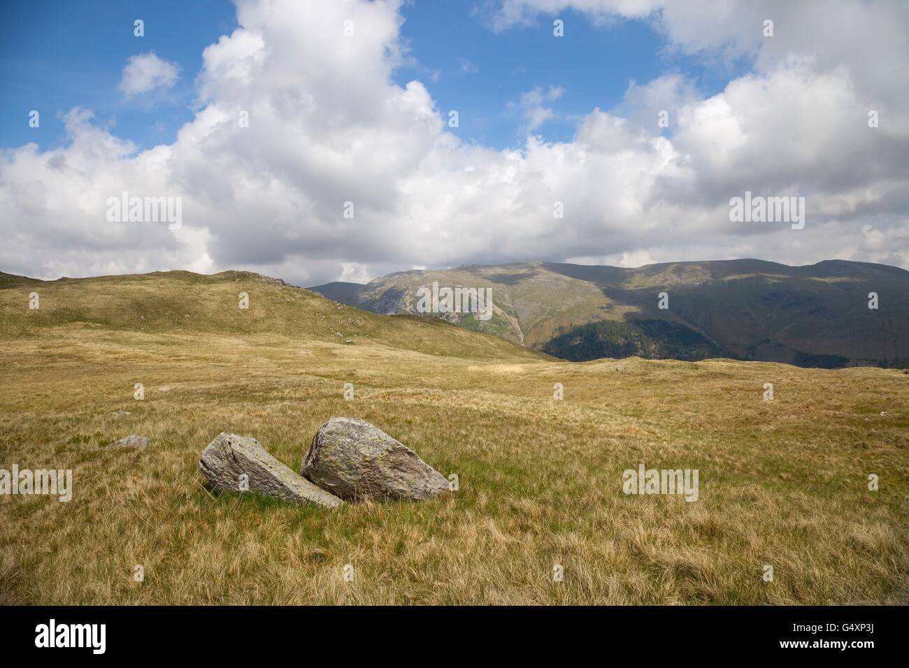 Vue vers Helvellyn, Lake District, Cumbria, Angleterre Banque D'Images