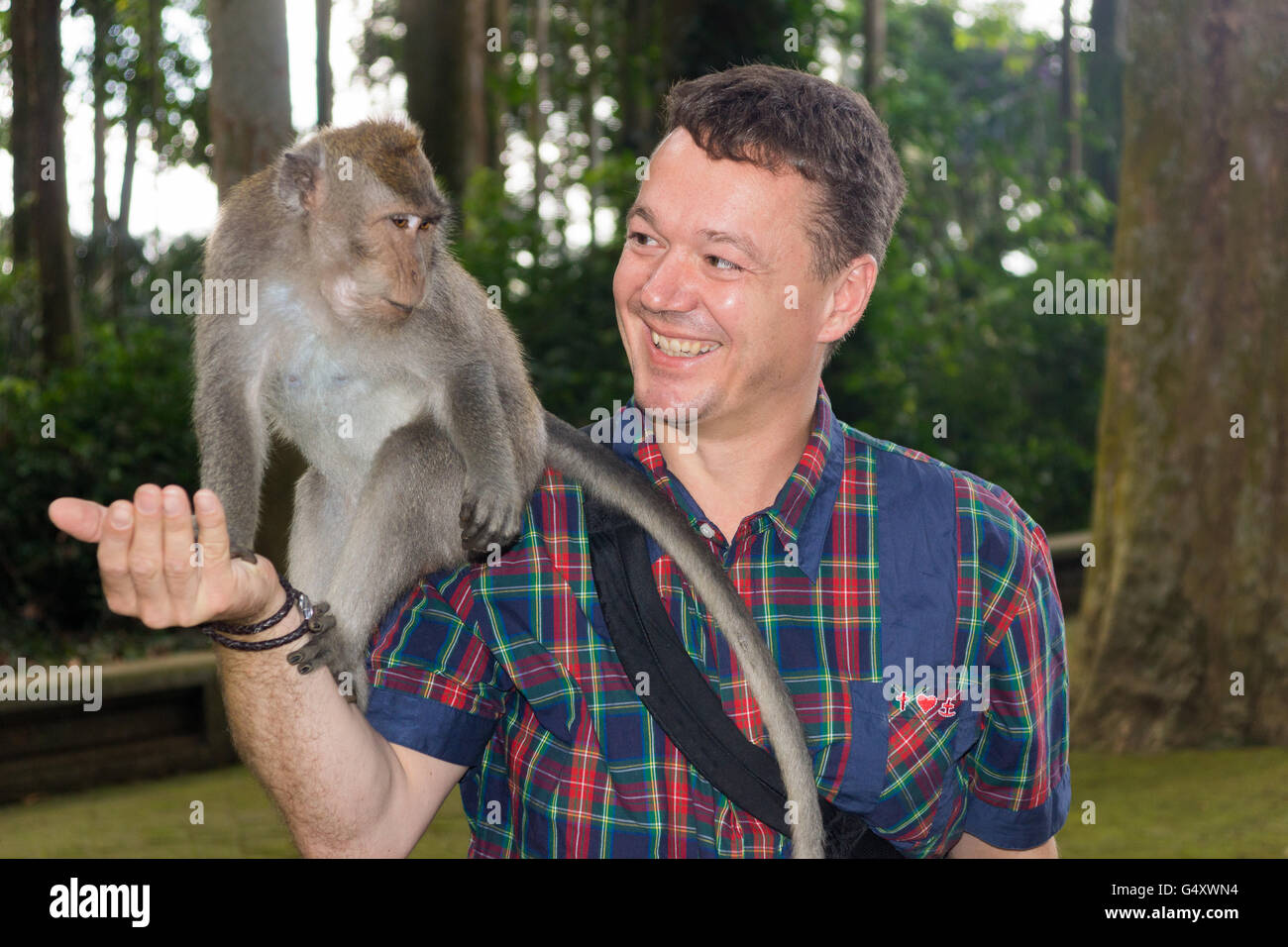 L'INDONÉSIE, Bali, Badung, touristique avec des singes dans la forêt des singes de Sangeh Banque D'Images