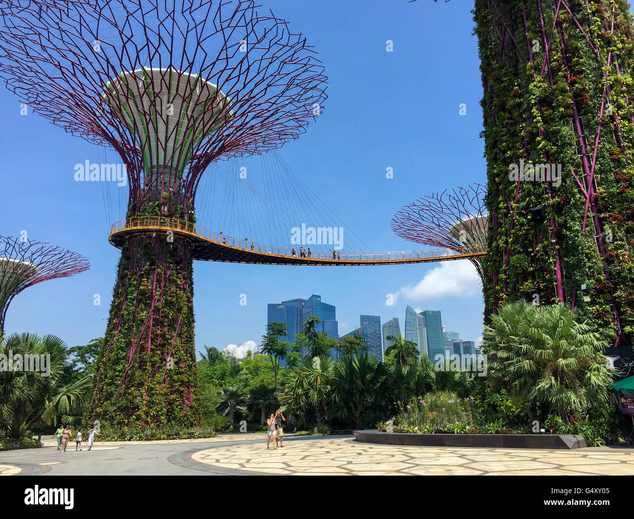 Singapour, Singapour Supertrees Banque D'Images