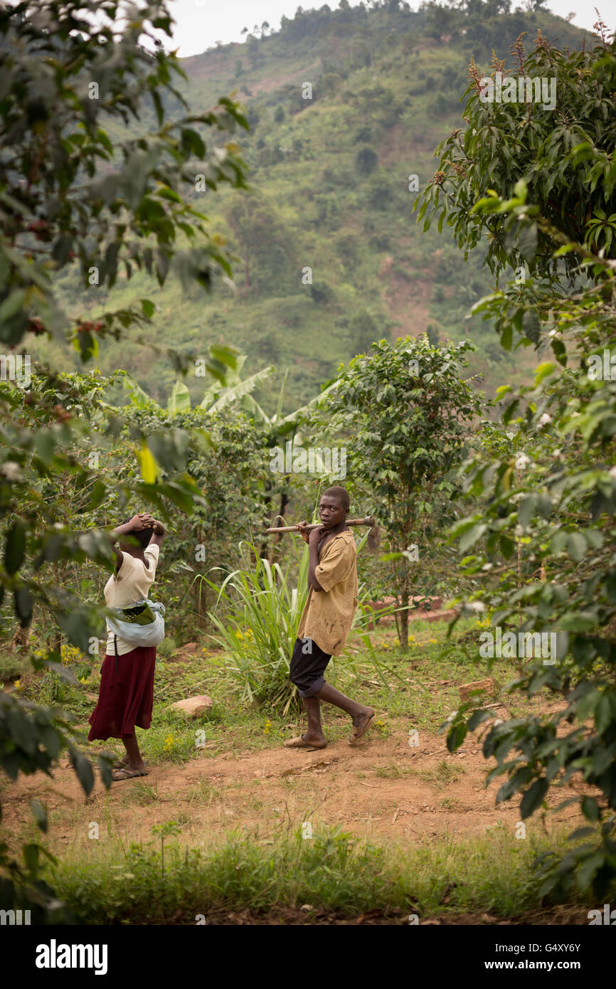 Les agriculteurs se promener dans un village rural lane dans les contreforts des monts Rwenzori Mountains sur la RDC / Ouganda frontière. Banque D'Images