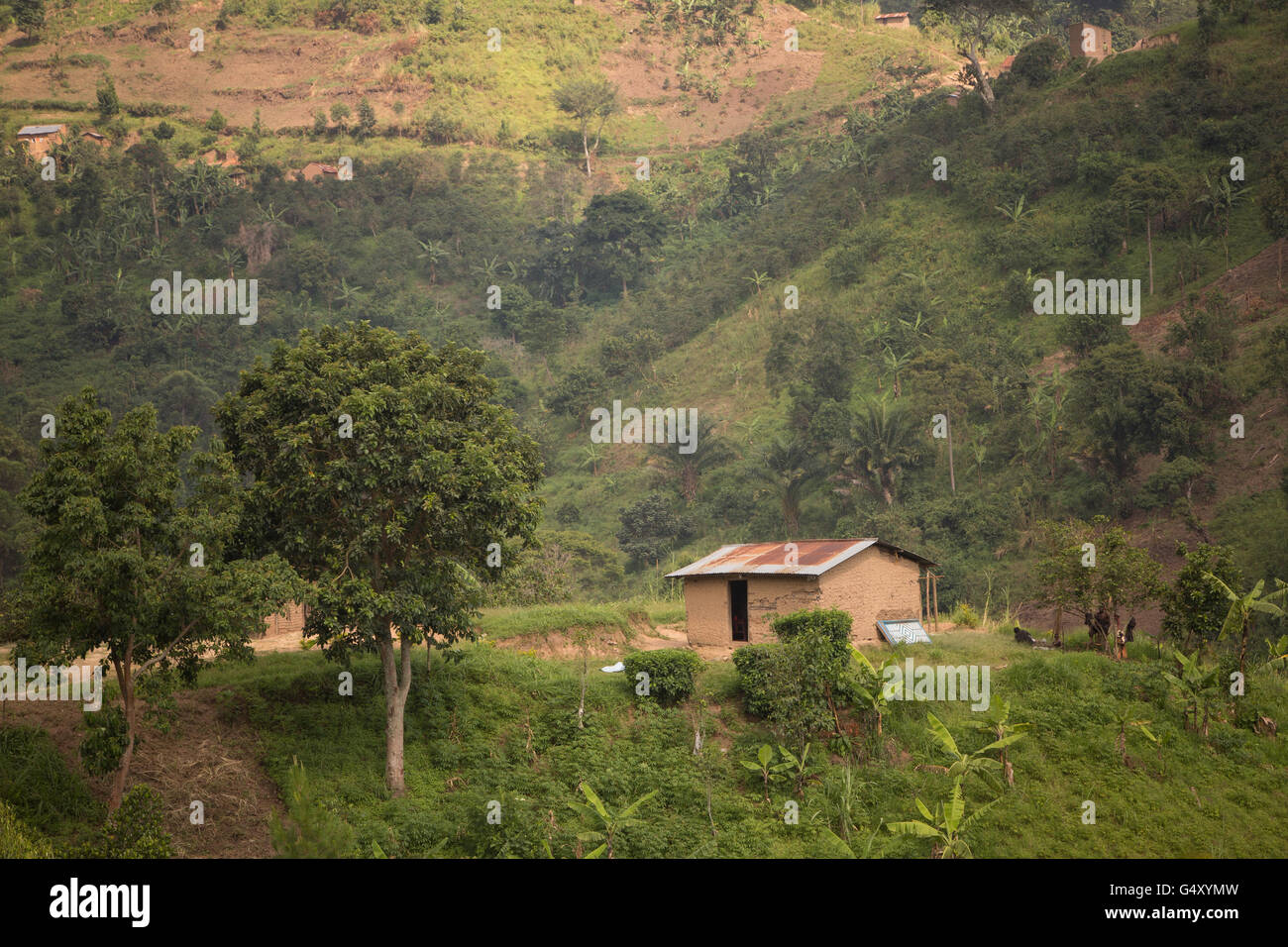 Les belles montagnes de Rwenzori sont vus de Kasese District, l'Ouganda, formant la frontière de l'Ouganda et la RDC. Banque D'Images