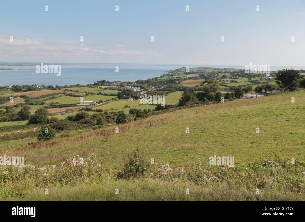 Superbe scène typiquement irlandais, le point de vue de l'anneau sur la péninsule à Dungarvan en Co. Cork, Irlande. Banque D'Images