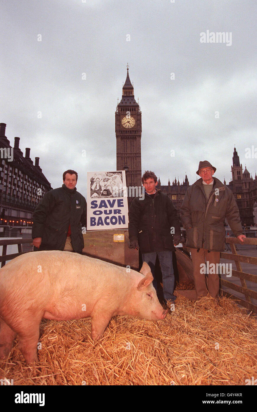 Les éleveurs de porcs Chris Leamon de Harlow, James Menhinick d'Essex et Tom Pitt de Chelsford, à l'extérieur du Parlement, protestent contre la crise en cours dans l'industrie porcine. Banque D'Images