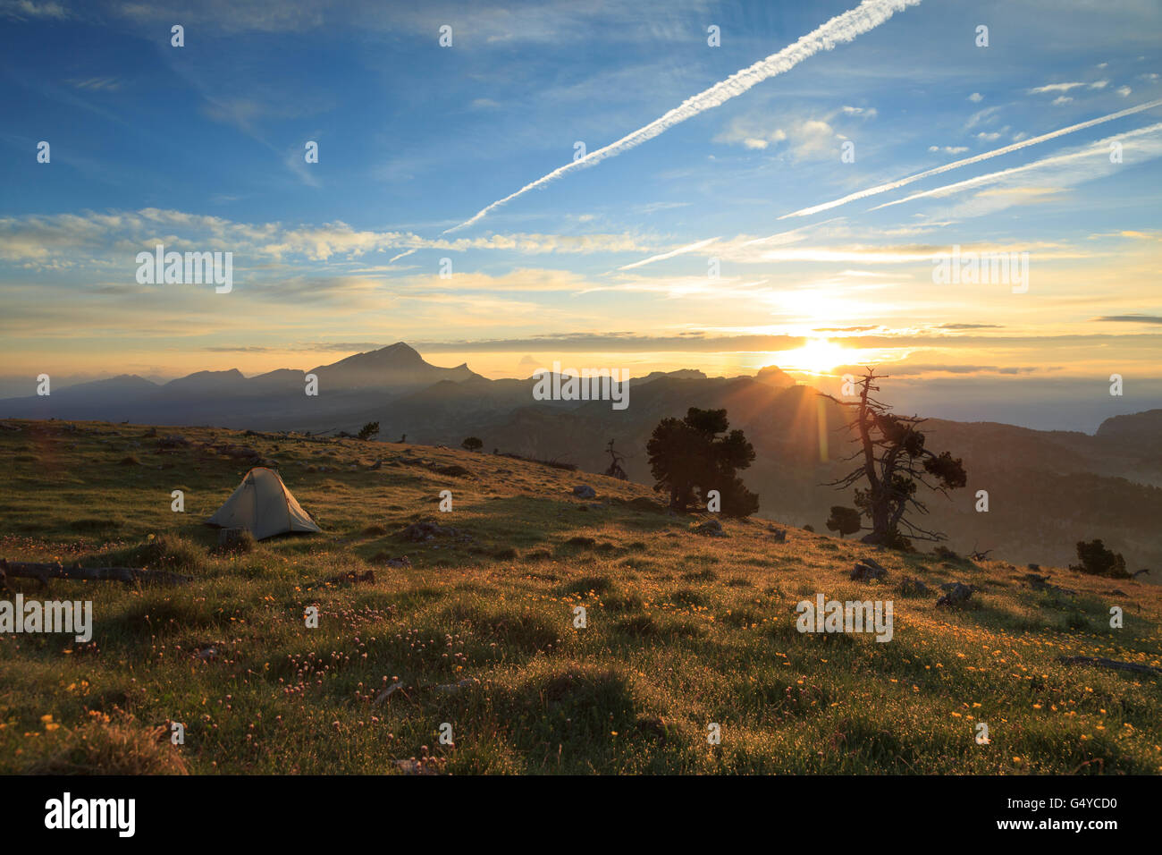 Tente dans une prairie de montagne au cours d'un cadre tranquille, l'été le lever du soleil. Banque D'Images