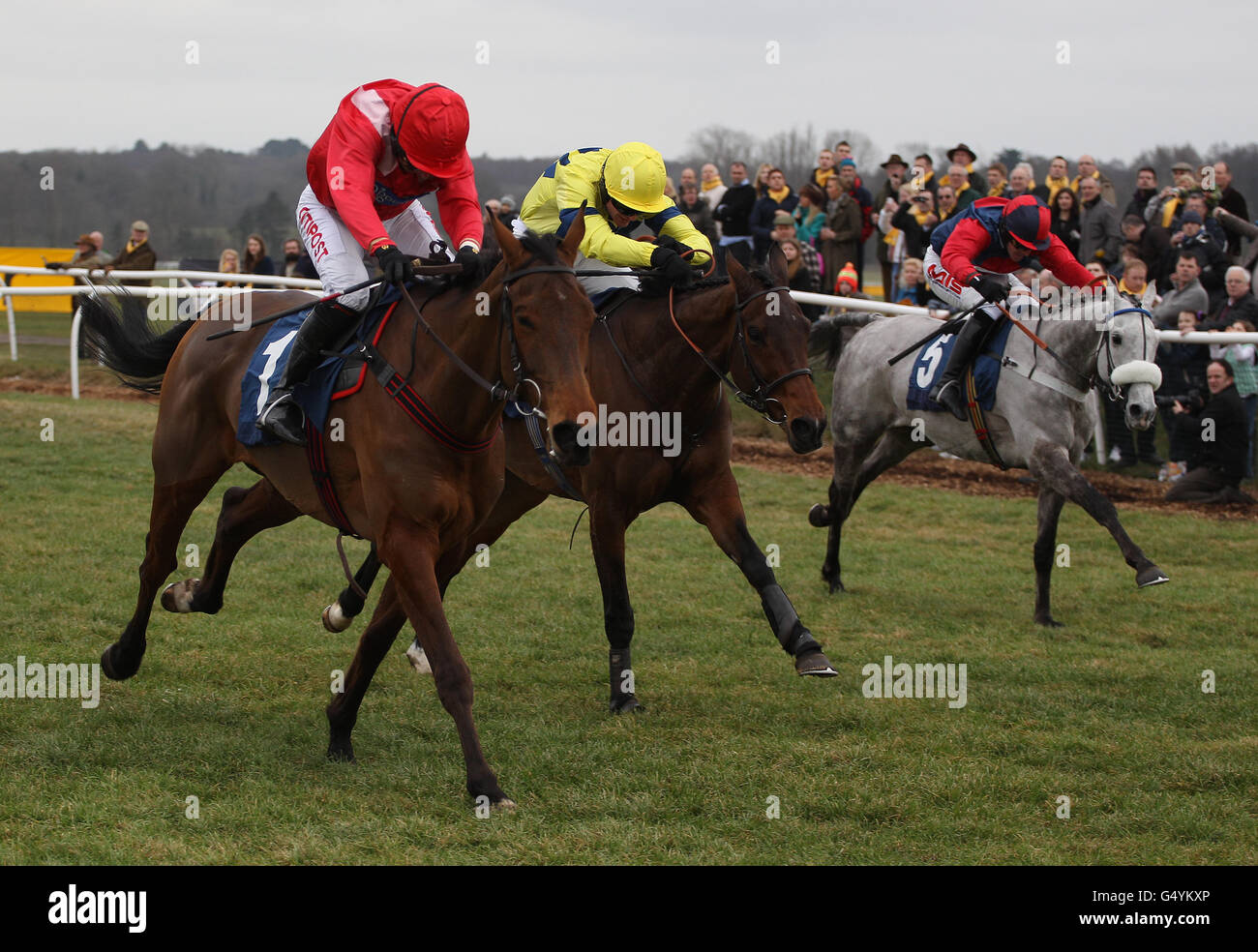 Les courses de chevaux - Betfair gratuitement vendredi - Newbury Banque D'Images