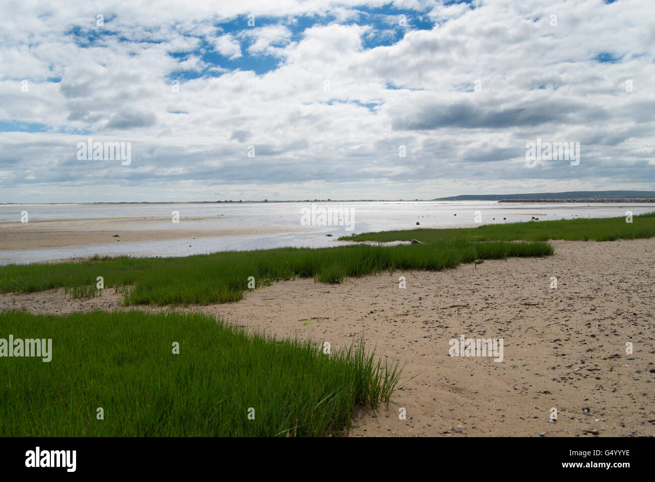 Plymouth, Massachusetts, port avec les plantes de la mer Banque D'Images