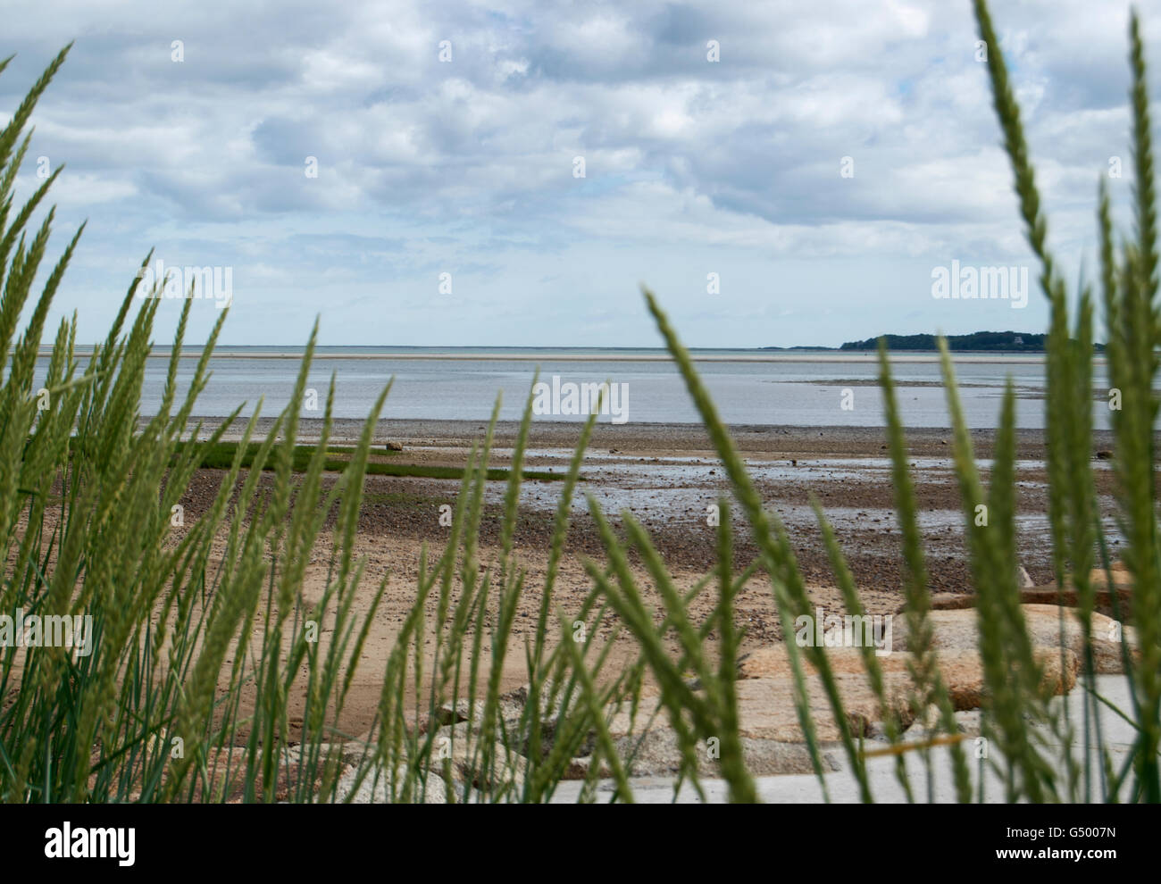 Plymouth, Massachusetts, port avec les plantes de la mer Banque D'Images