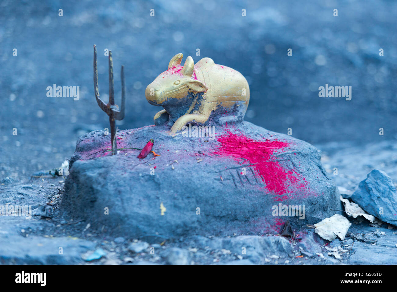 Le Népal, Région de l'Ouest, Muktinath, sur le circuit de l'Annapurna - Jour 10 - de Muktinath à Kagbeni - sacrifice hindou, vache sacrée et un Trisul à Muktinath Banque D'Images