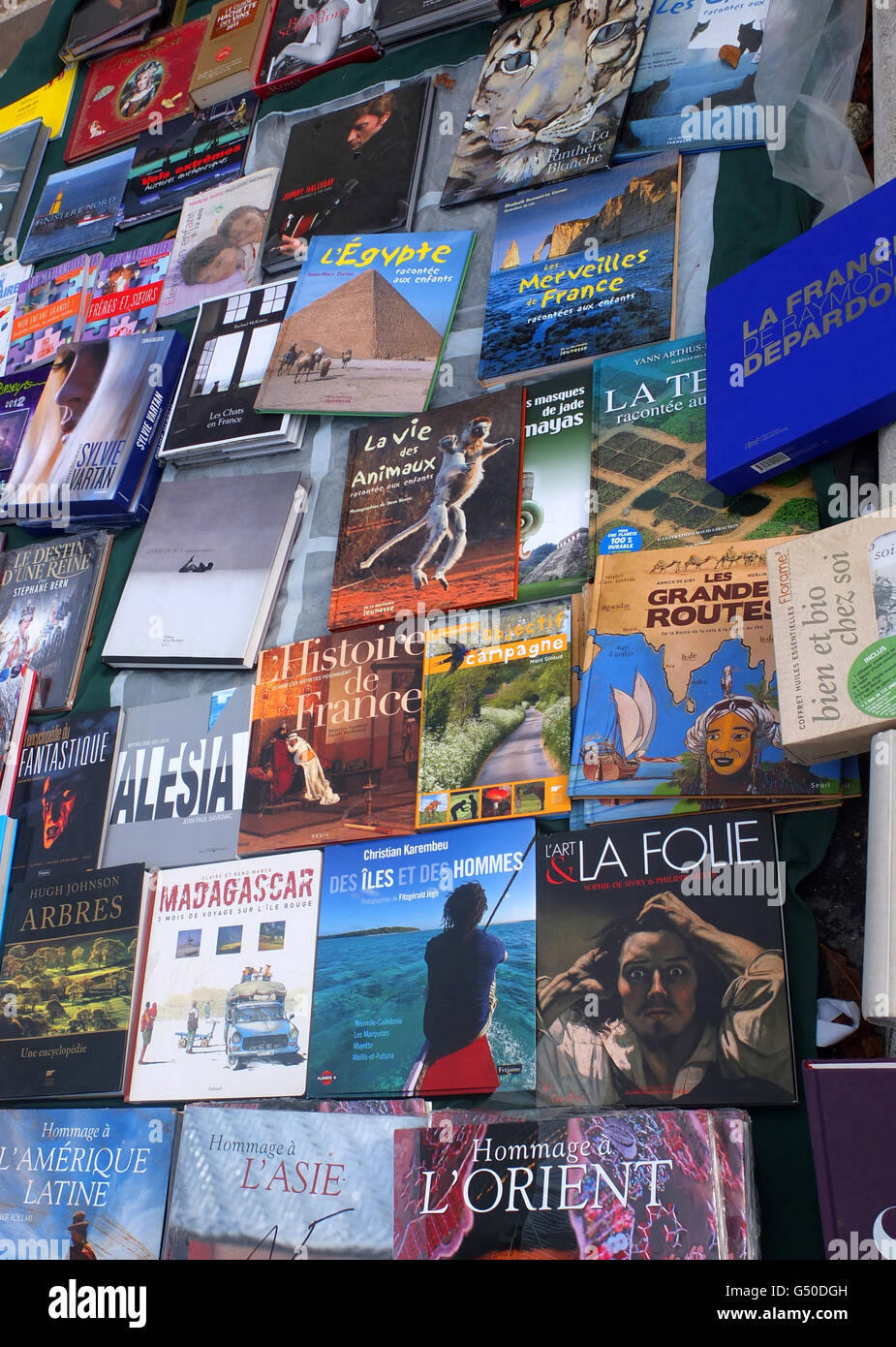 Une plus grande répartition des livres à la Brocante (marché aux puces) juste en dehors de Paris. Banque D'Images