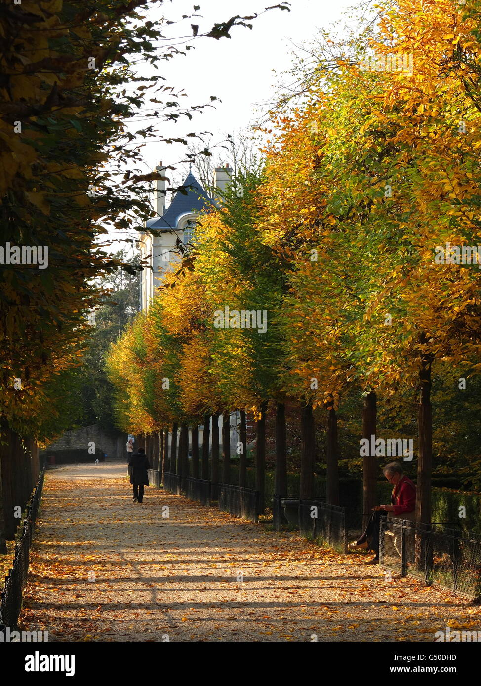 Les feuilles d'automne décorer un large chemin dans le parc de Sceaux, Il de France Banque D'Images