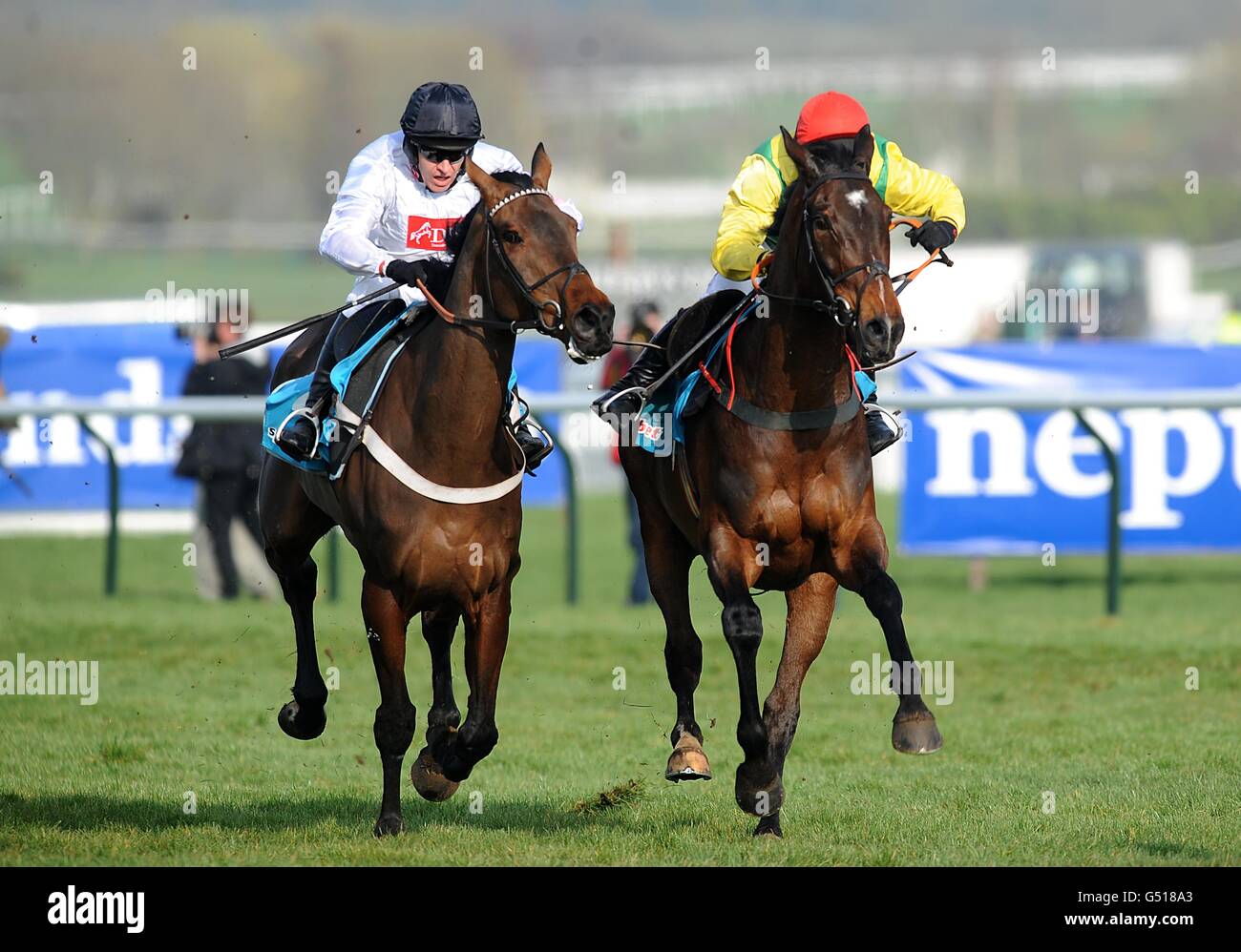 Les courses de chevaux - 2012 Cheltenham Festival - Jour deux - l'Hippodrome de Cheltenham Banque D'Images