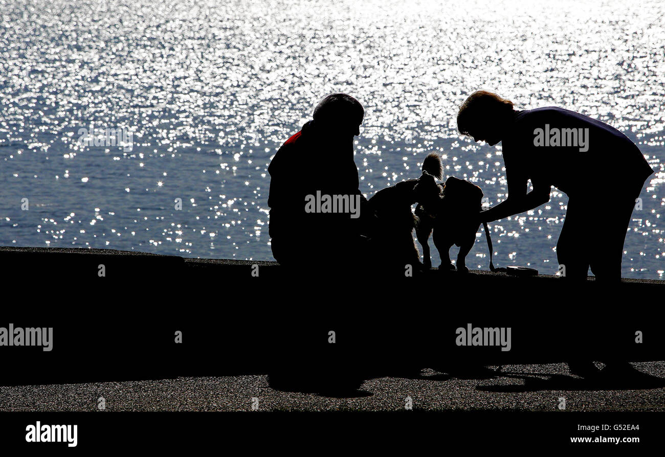 Un couple avec leurs chiens sur le mur de la mer de Clontarf Strand à Dublin profiter du soleil du soir comme le bon temps continue dans le pays. Banque D'Images