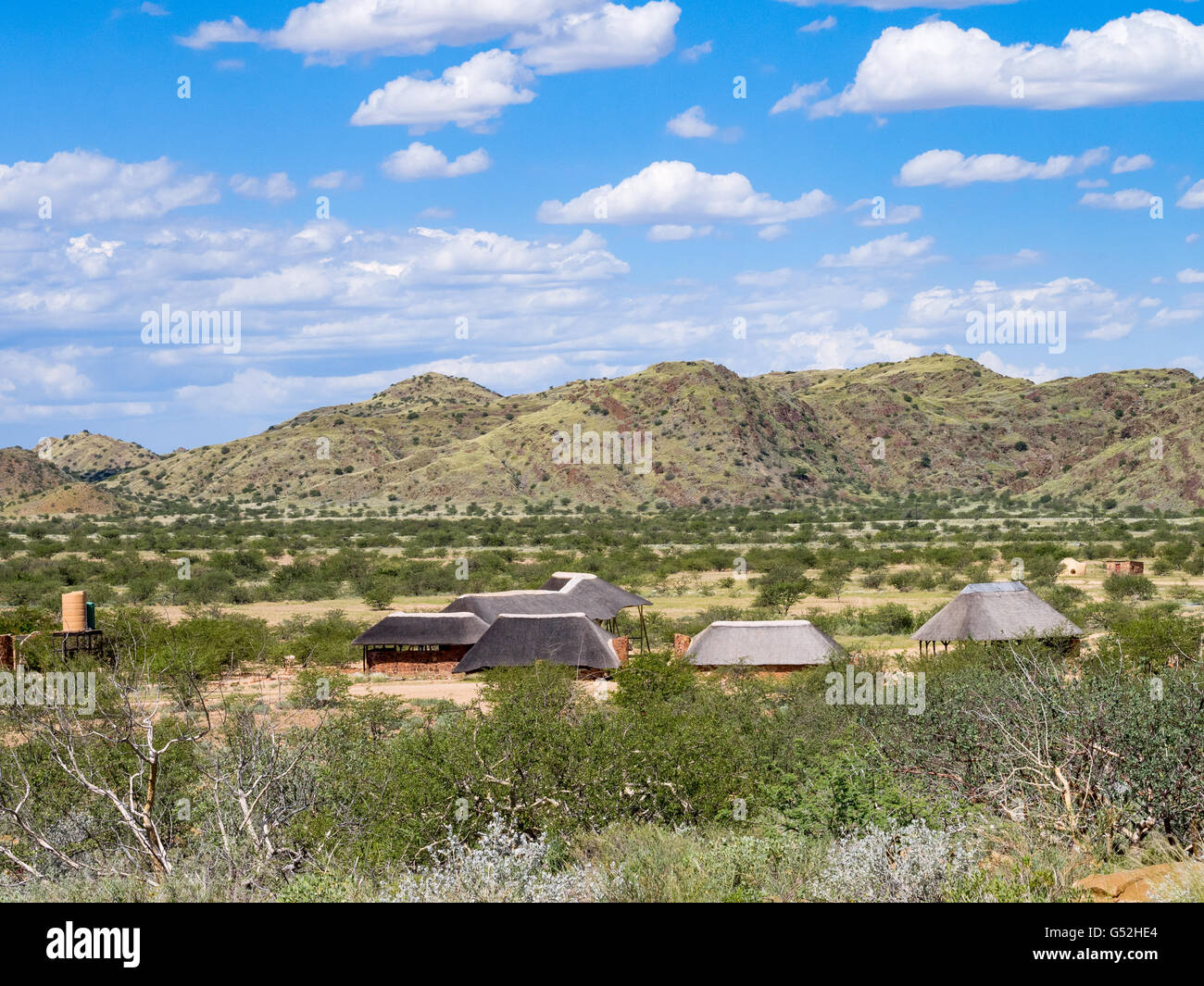 La Namibie, Kunene, huttes dans la forêt pétrifiée, qui est situé à l'ouest de la municipalité de Khorixas. Les arbres sont entre 240 et 300 millions d'années Banque D'Images