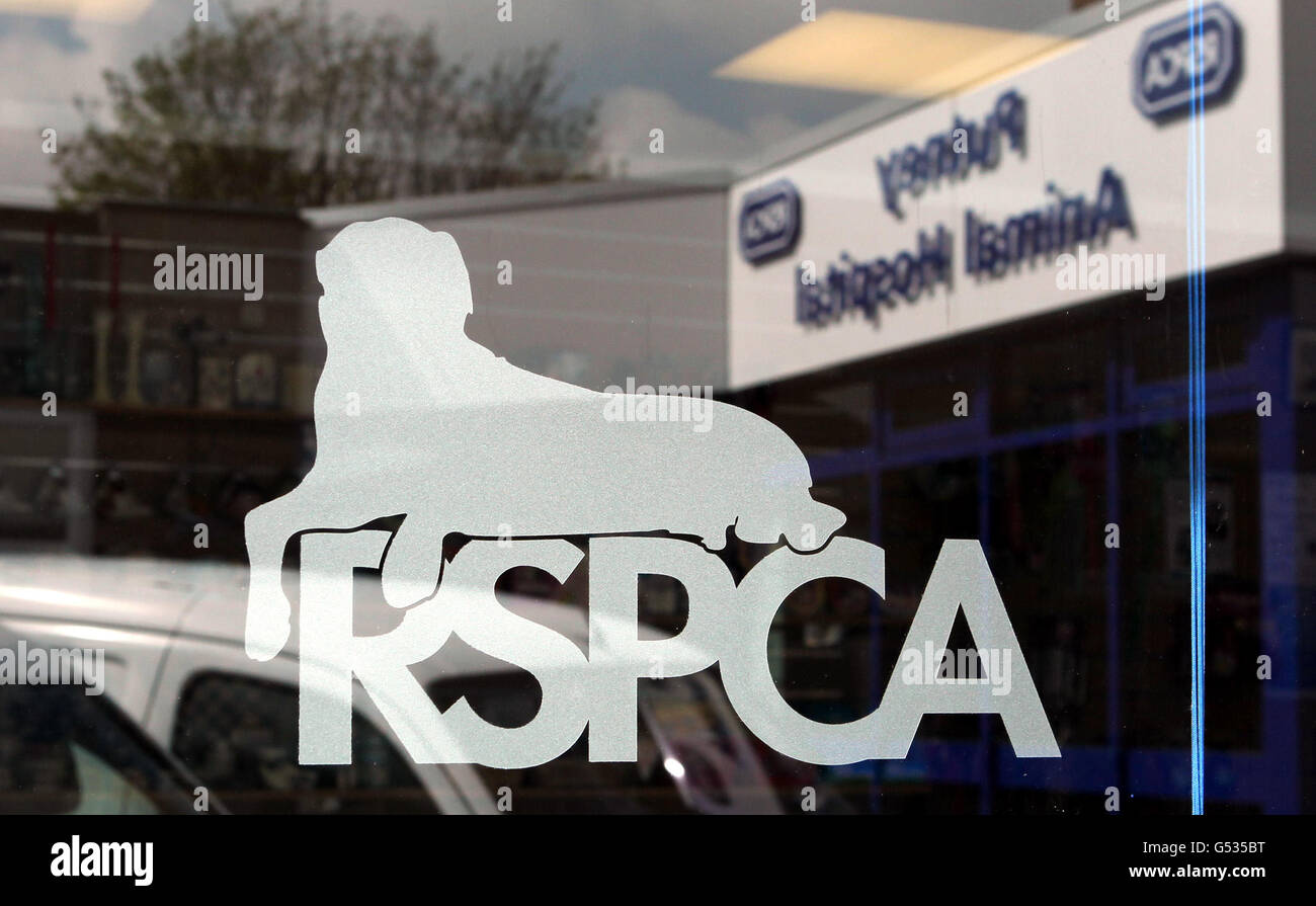 Le logo de la RSPCA au RSPCA Animal Hospital de Putney Banque D'Images