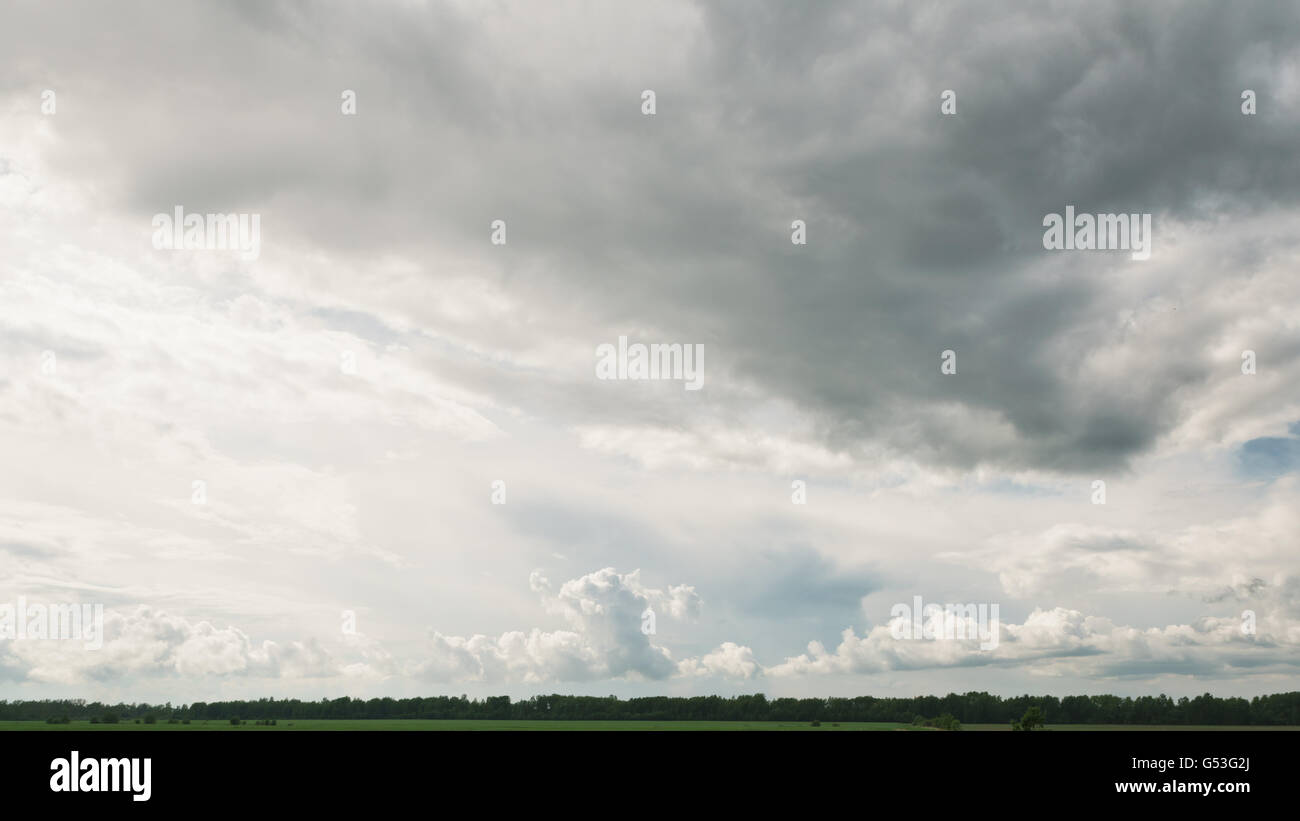 Beaux nuages sur champ et forêt verte Banque D'Images