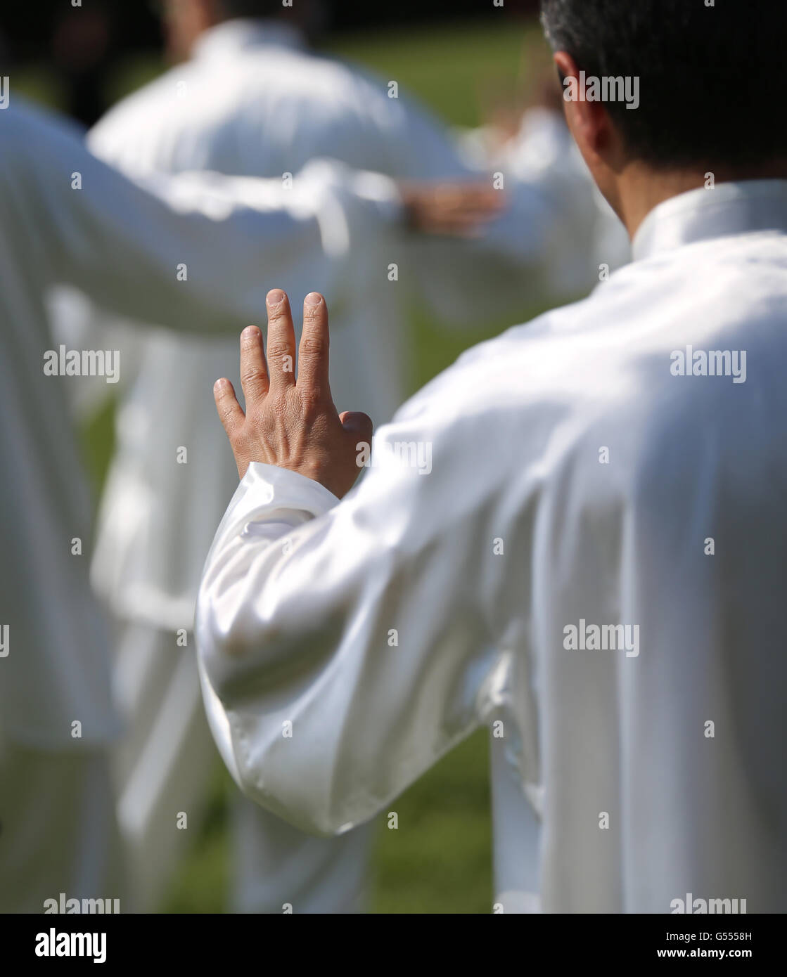 Main de maître d'arts martiaux Tai Chi au cours de l'exposition en parc public avec des partisans Banque D'Images