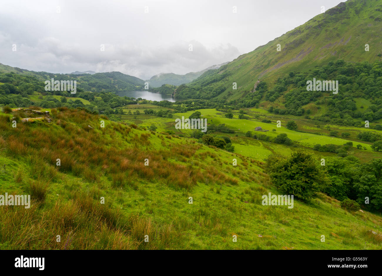 Nant Gwynant Banque D'Images