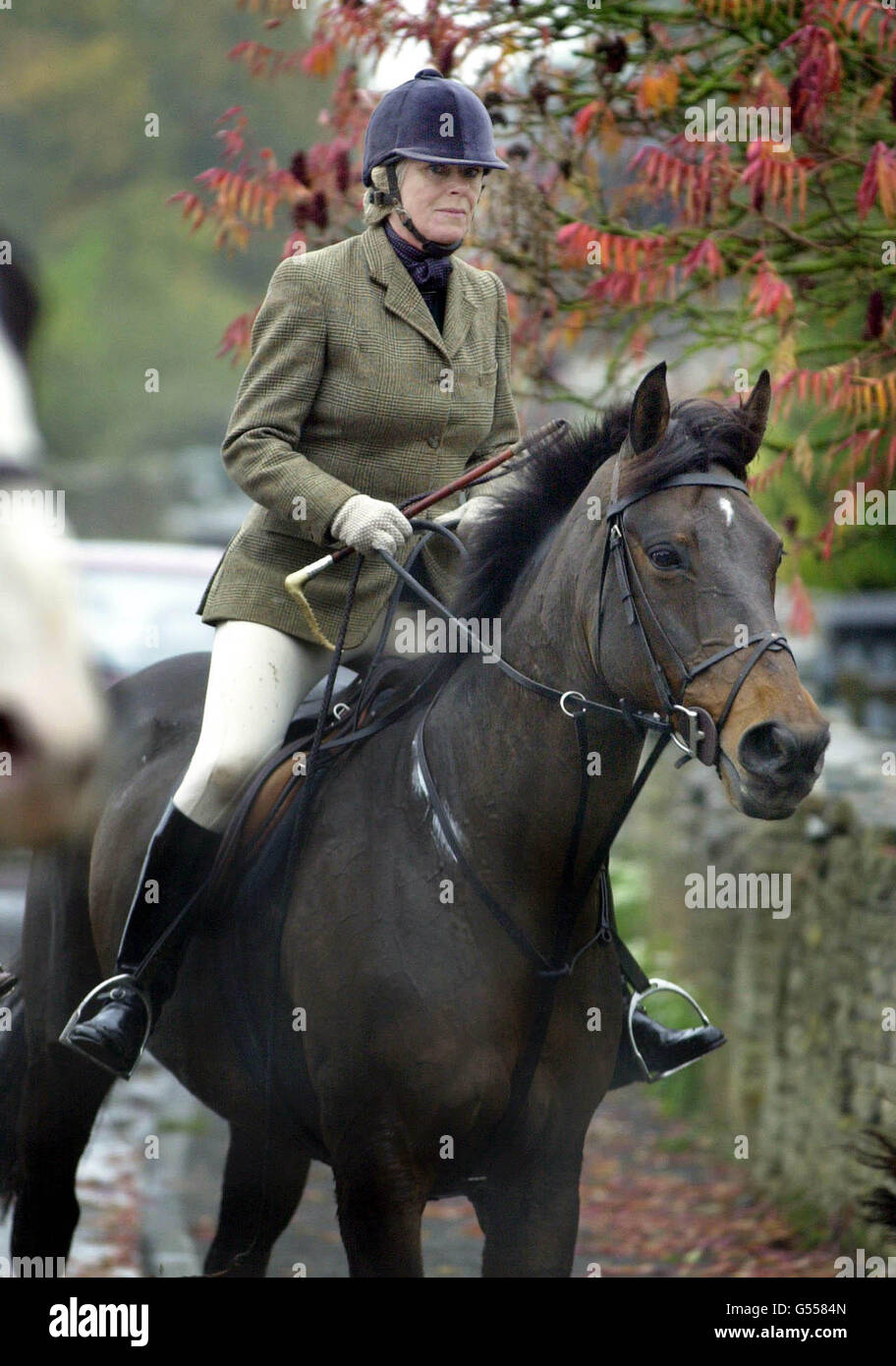 Camilla Parker Bowles hunt Banque D'Images