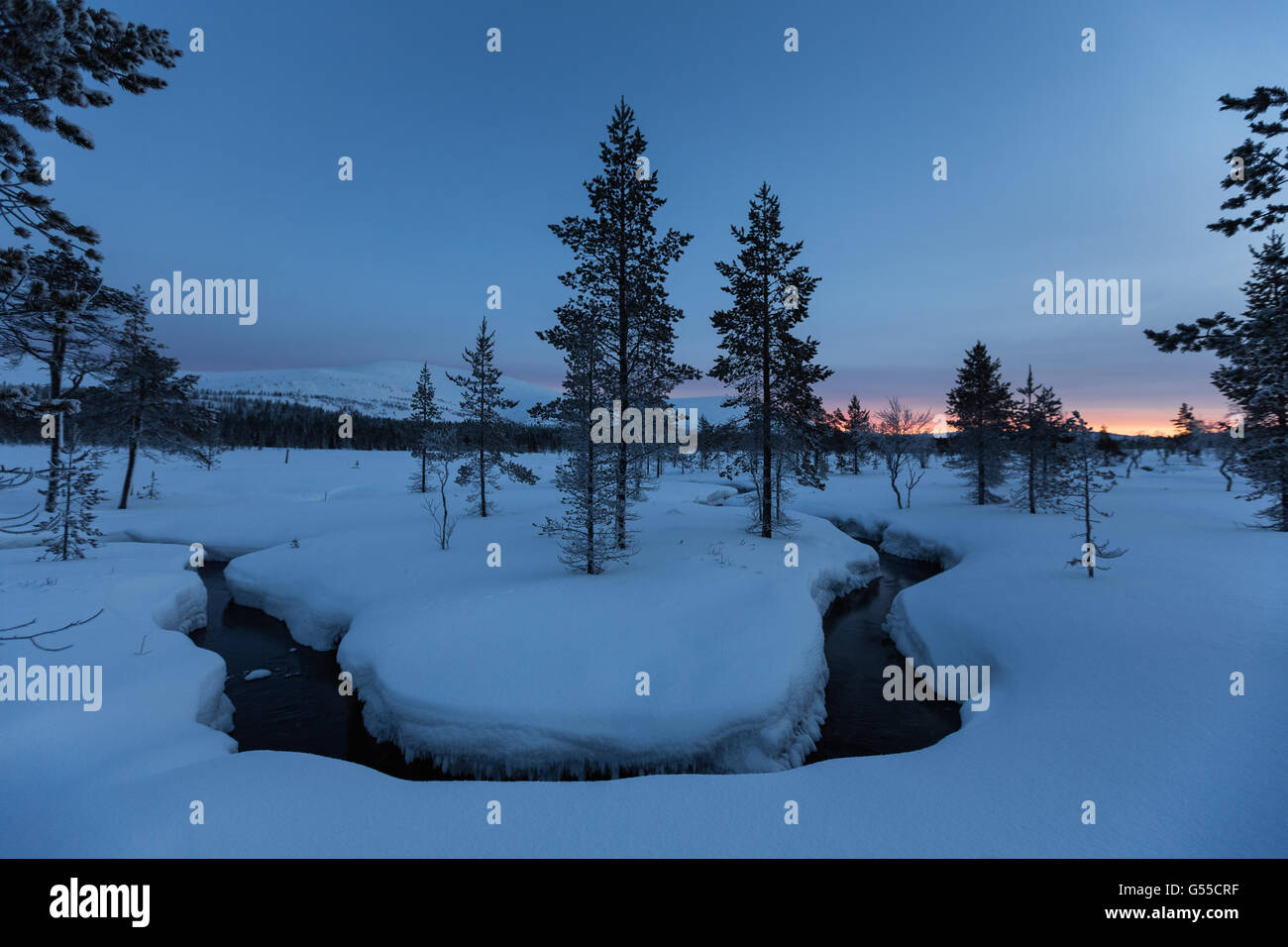 L'hiver dans le parc national Urho Kekkonen, Sodankylä, Laponie, Finlande, Europe, UNION EUROPÉENNE Banque D'Images