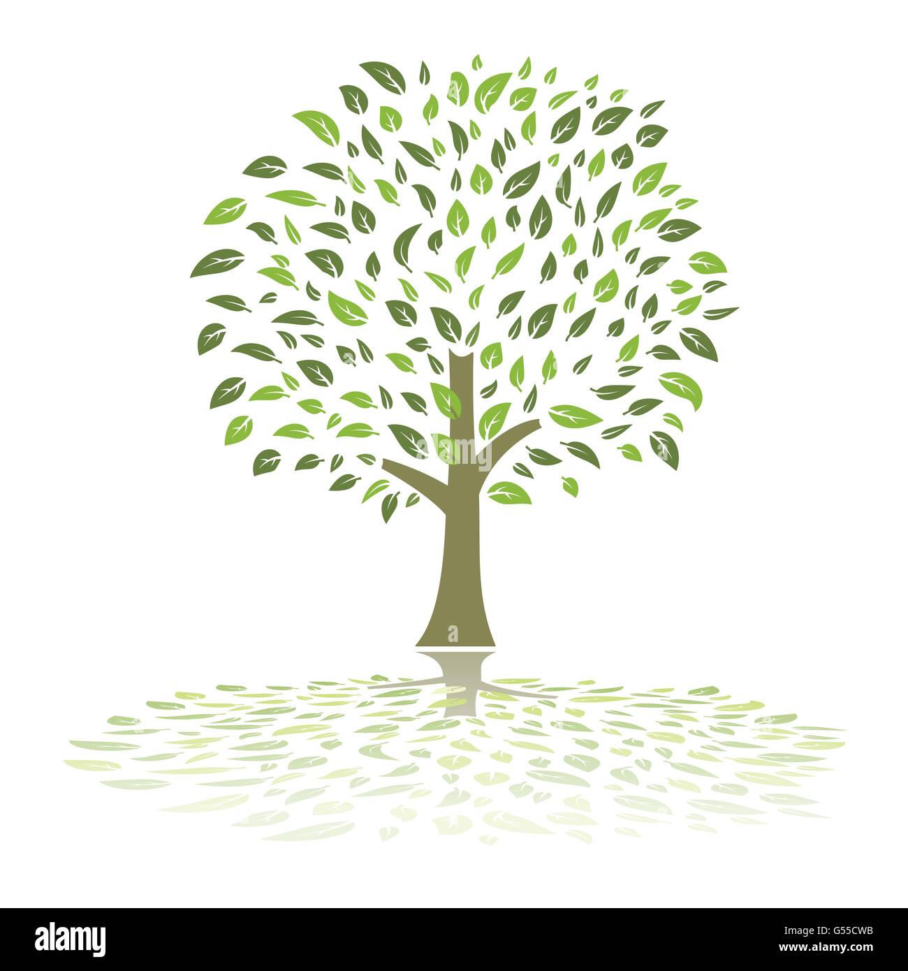 Les feuilles vertes de l'été le feuillage écologie arbre vecteur illustration Illustration de Vecteur