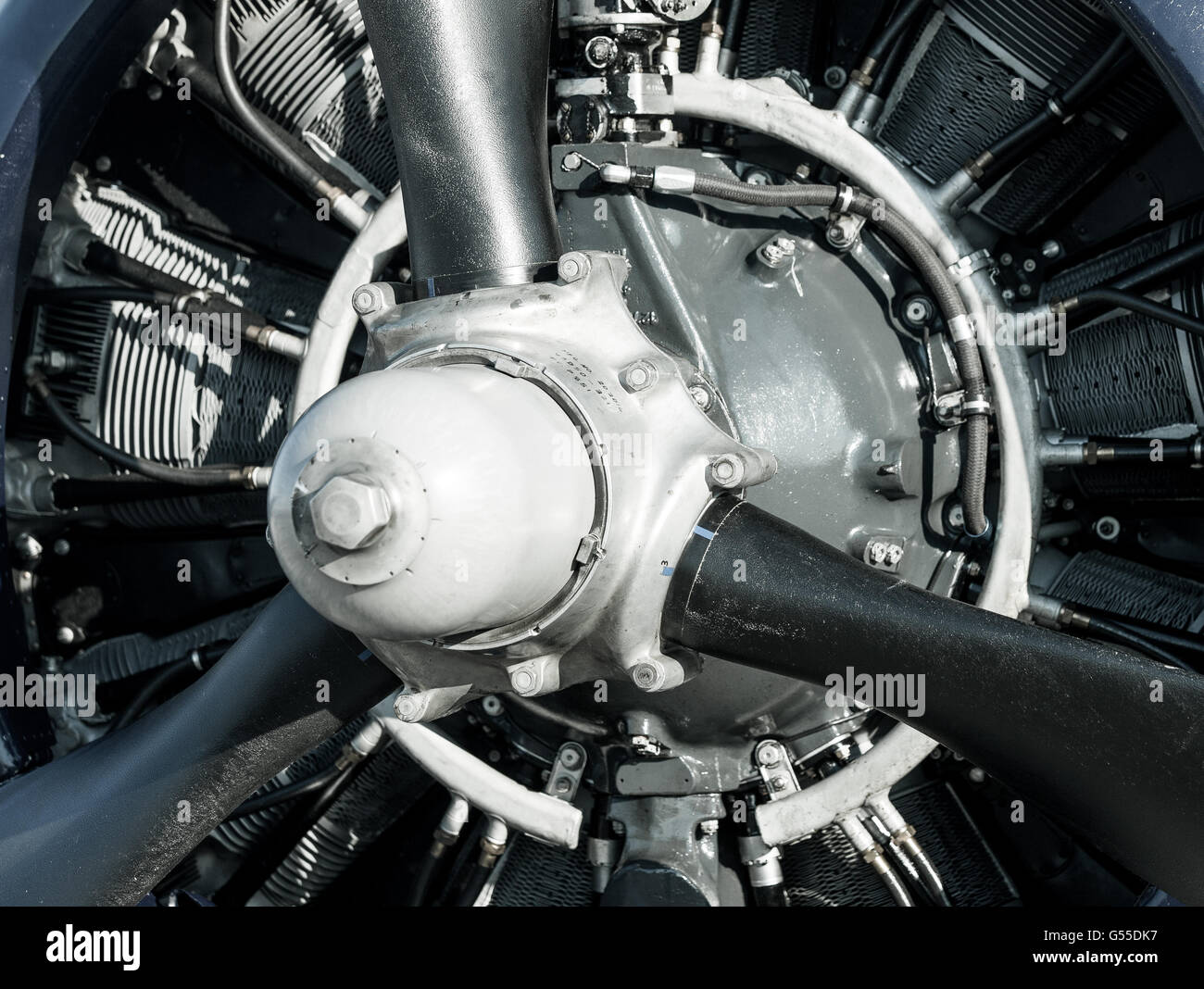 SECONDE GUERRE MONDIALE US Navy XSB2C-1 Grumman Helldiver 1758