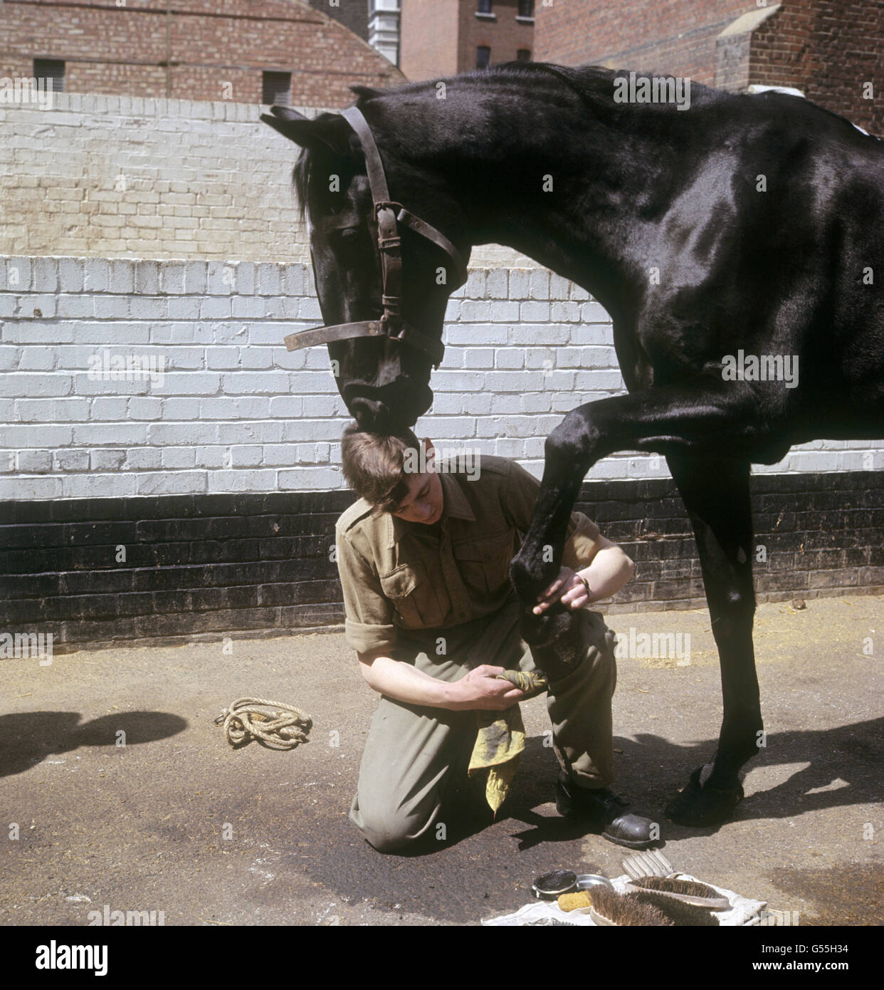 Image - Household Cavalry Division - la caserne Wellington, Londres Banque D'Images