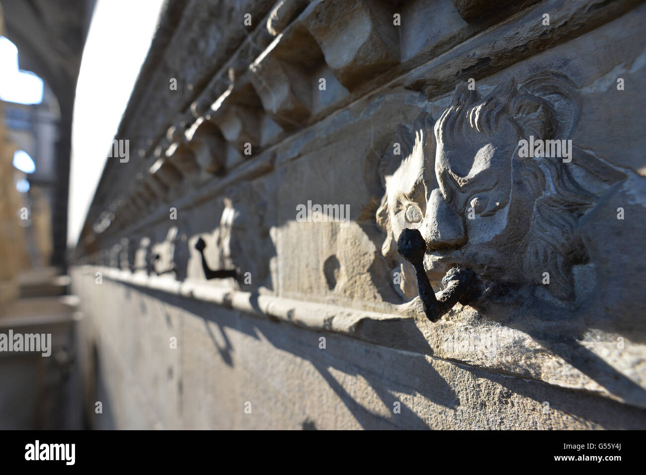 Tête de Lion Florence Italie Banque D'Images