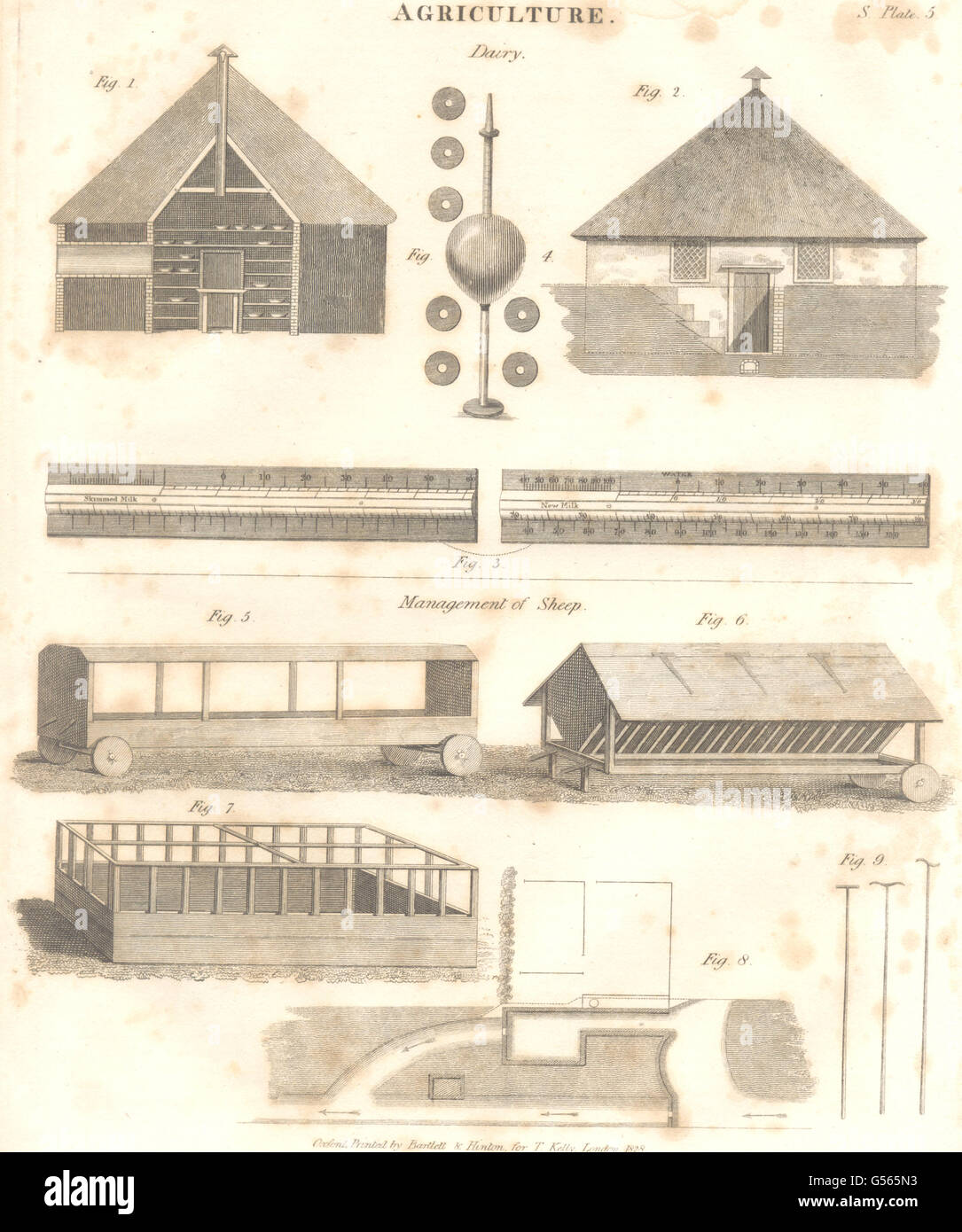 Agriculture : l'Agriculture. Gestion des produits laitiers de brebis. Oxford (Encyclopédie canadienne), 1830 Banque D'Images