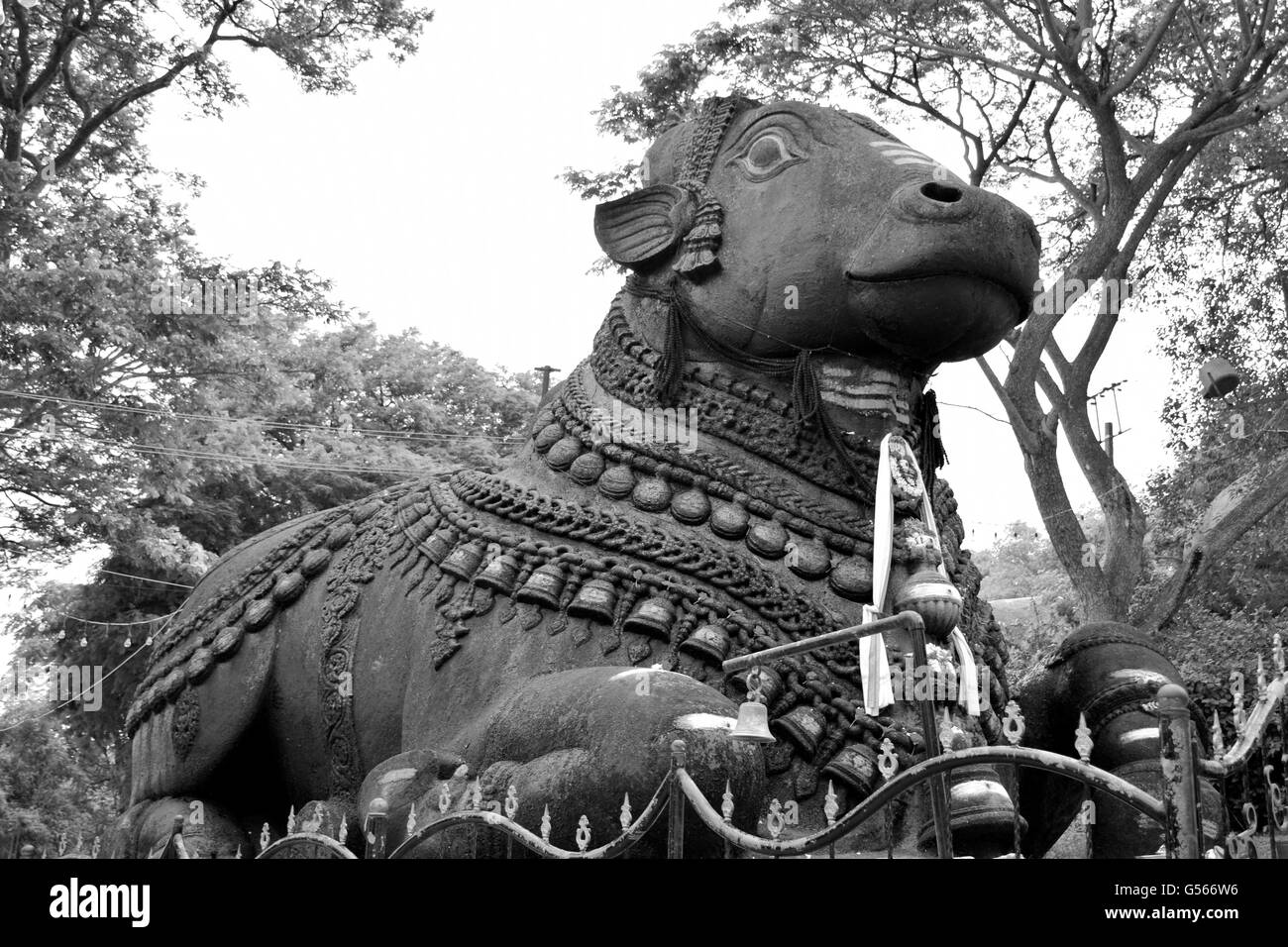 Est le nom pour le taureau qui sert de Mont (sanskrit : Vahana) du dieu Shiva et comme gardien de Shiva et Parvati. Banque D'Images