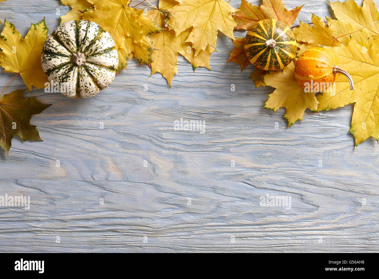 Automne fond avec des citrouilles et des feuilles Banque D'Images