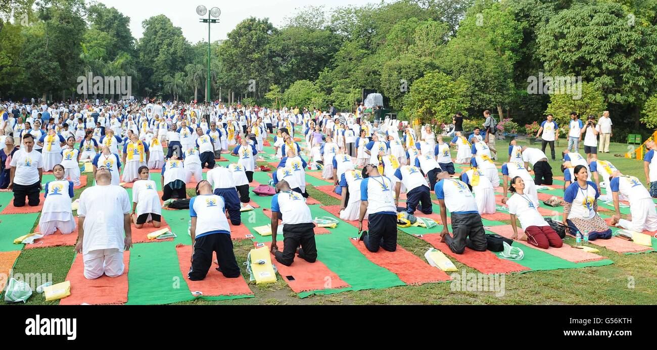 Des centaines de participants au cours d'une démonstration de Yoga célébrant la 2e Journée Internationale de Yoga au Jardins Lodhi, 21 juin 2016 à New Delhi, en Inde. Banque D'Images