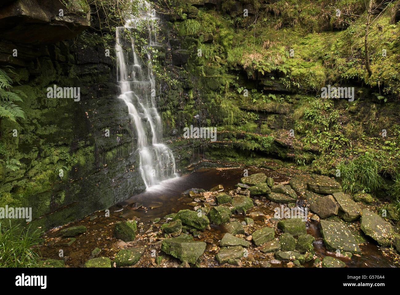 Avis de cascade et rochers au milieu de la rivière, cascade, Clough Noir Black Clough, Peak District N.P., Derbyshire, Angleterre, octobre Banque D'Images