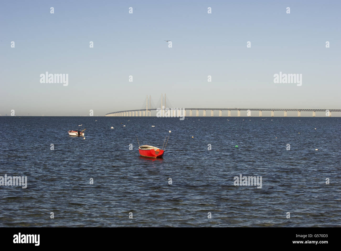 Haubans pont routier et ferroviaire à l'aube, à la frontière du détroit de passage avec le Danemark, pont de l'Oresund, Détroit d'Oresund, Suède, octobre Banque D'Images