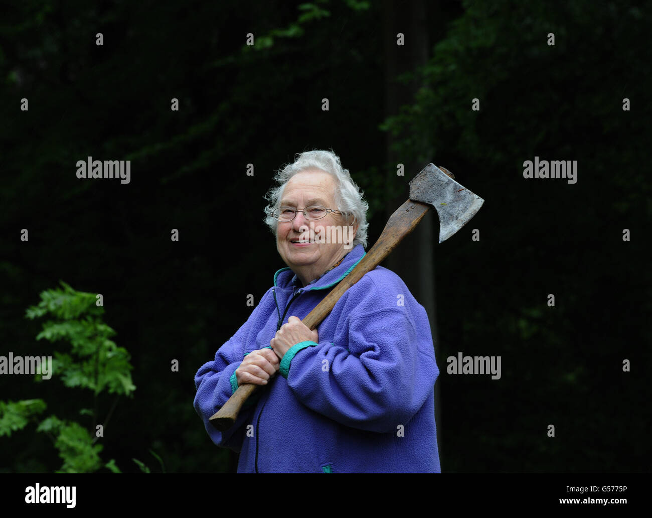 Un ancien membre du Womens Timber corps de retour dans la forêt de Dalby, près de Pickering aujourd'hui. Banque D'Images